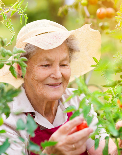 Gardening gets you moving and can improve your mental health