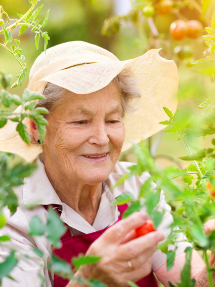 Gardening is a great way to keep moving.