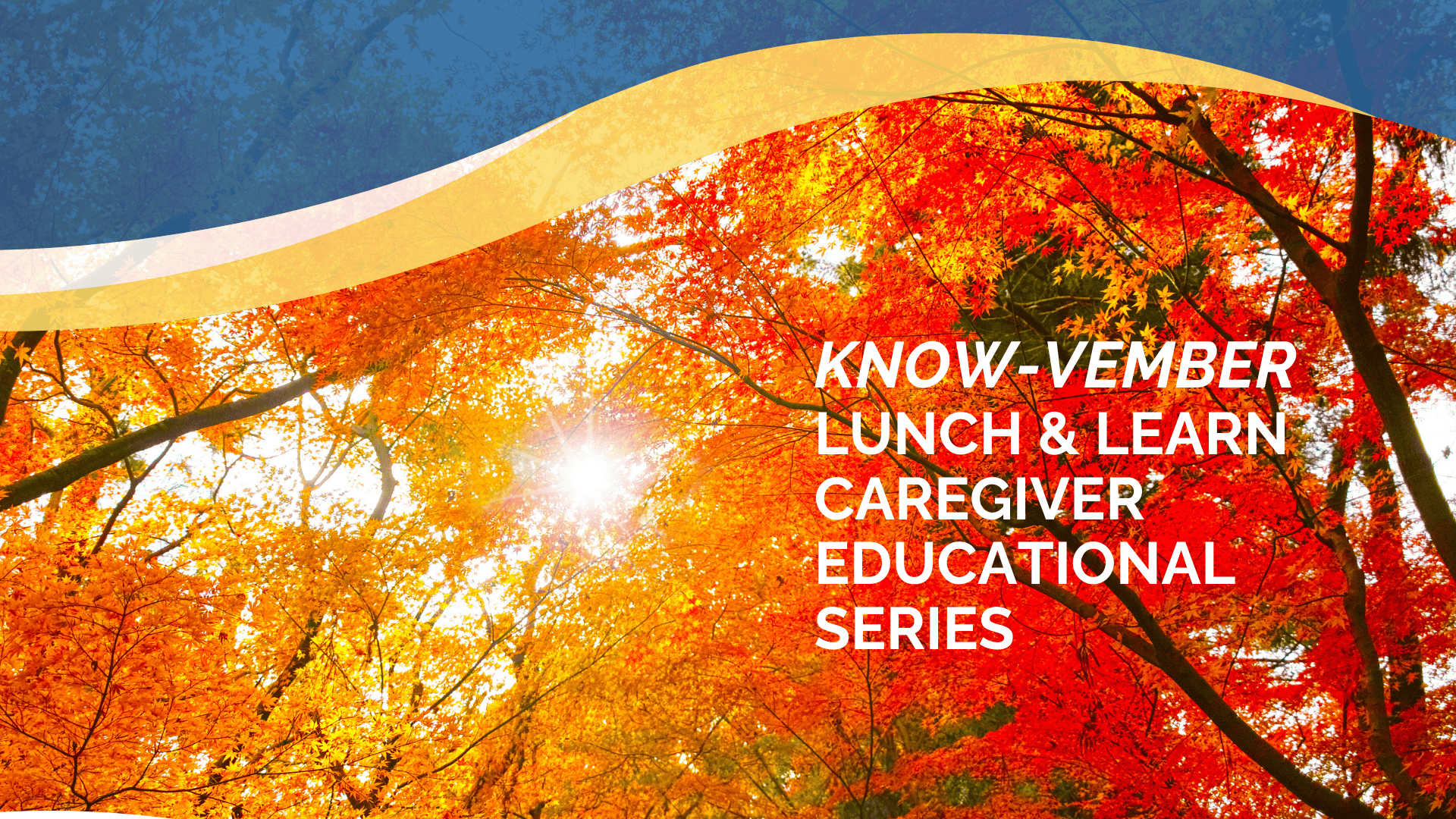 Knowvember Lunch & Learn (1920 x 1080 px) (2) Graphic with trees with red, gold and orange leaves with the words "Know-Vember Lunch & Learn Caregiver Educational Series" superimposed over the graphic