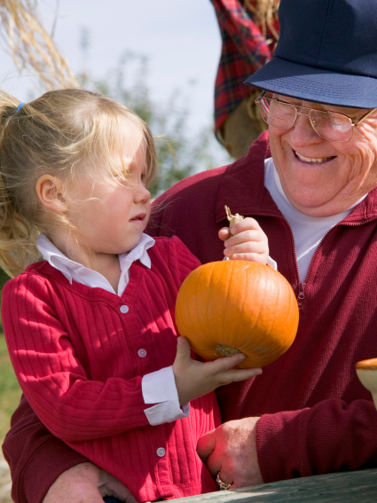 Grandfather holder pre-school grandaughter on lap. Grandchild is holding a small pumpkin